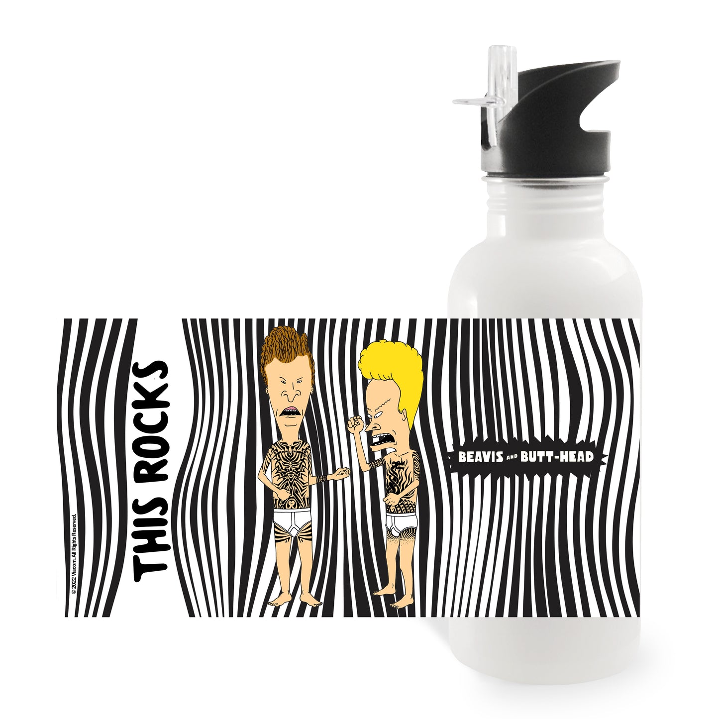Beavis and Butt-Head This Rocks 20 oz Screw Top Water Bottle with Straw