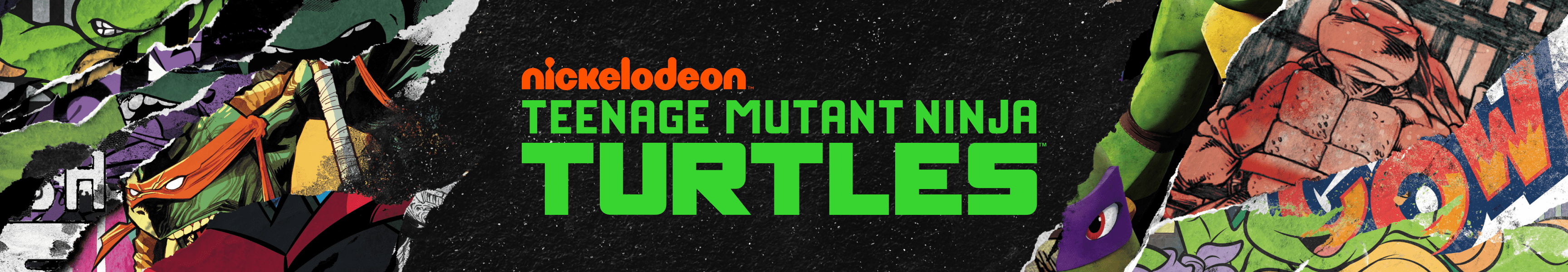 Teenage Mutant Ninja Turtles Video Game Artwork