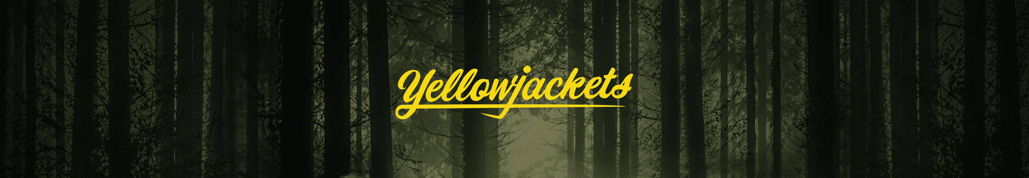 Yellowjackets Pulls à capuche & Sweatshirts