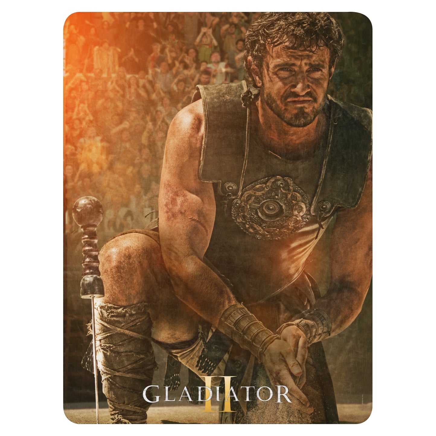 Gladiator II Lucius Sherpa Blanket