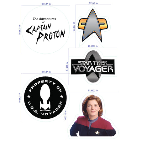 Star Trek: Voyager Feuille d'autocollants muraux