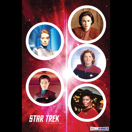 Star Trek Women Of Star Trek Wall Sticker Sheet