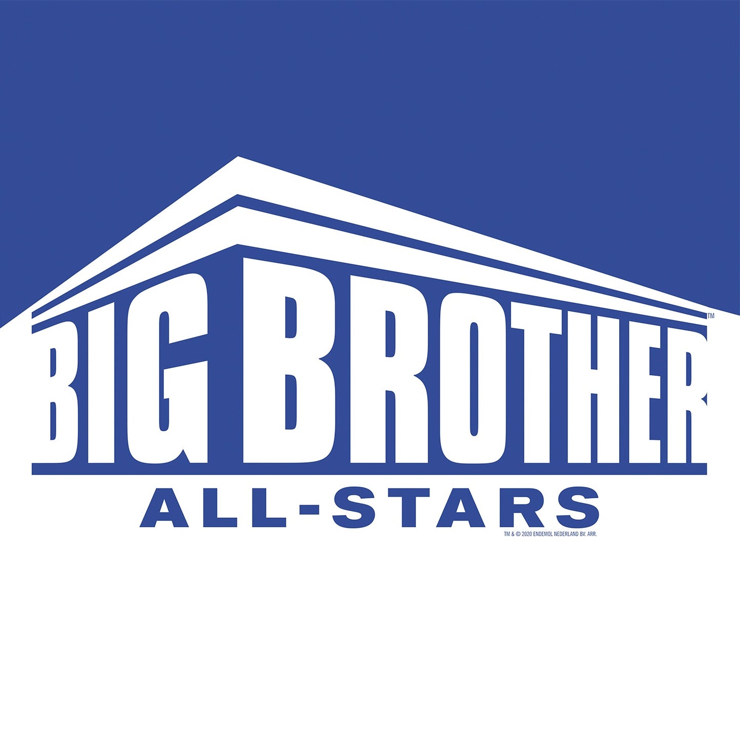 Big Brother All Stars Color Block Logo 16" x 16" Throw Pillow - Paramount Shop