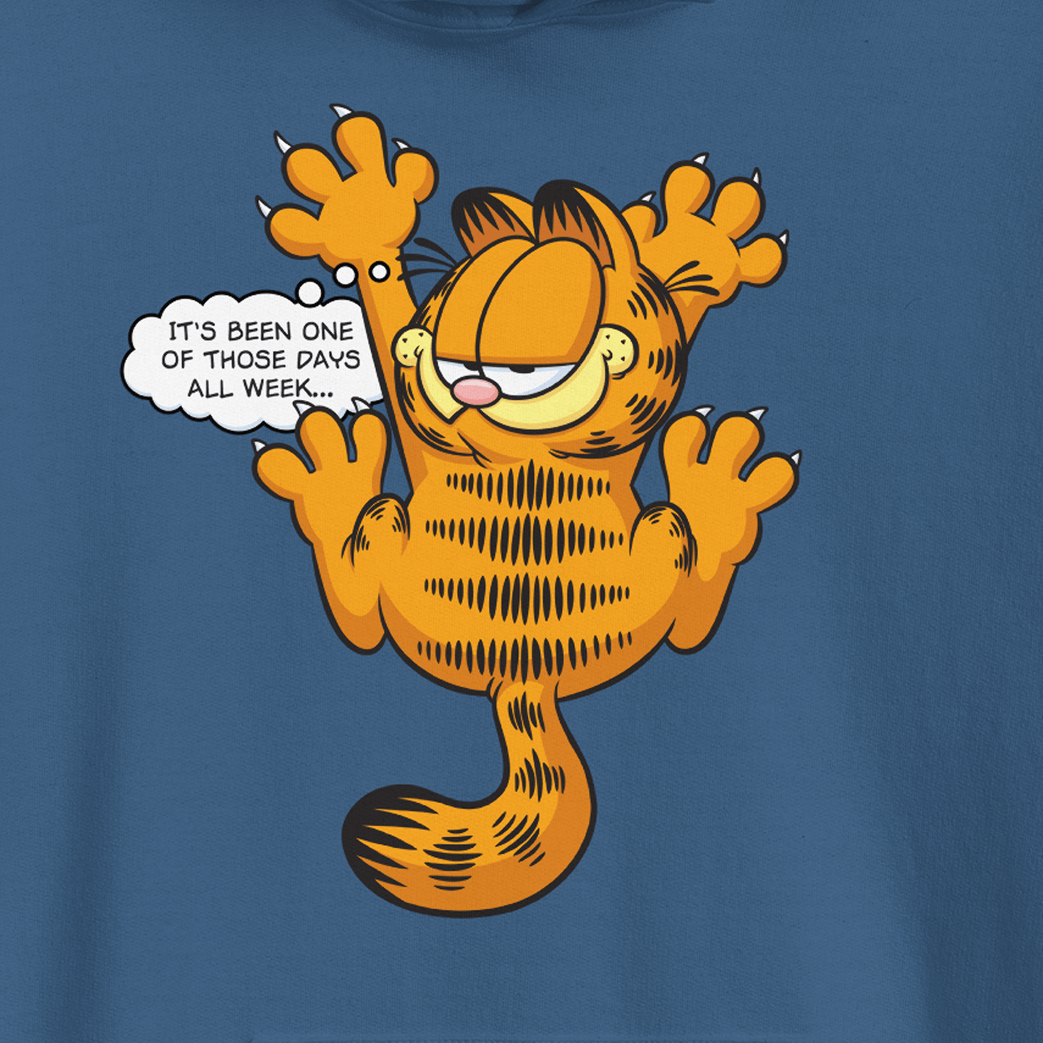 Garfield One Of Those Days Hooded Sweatshirt - Paramount Shop