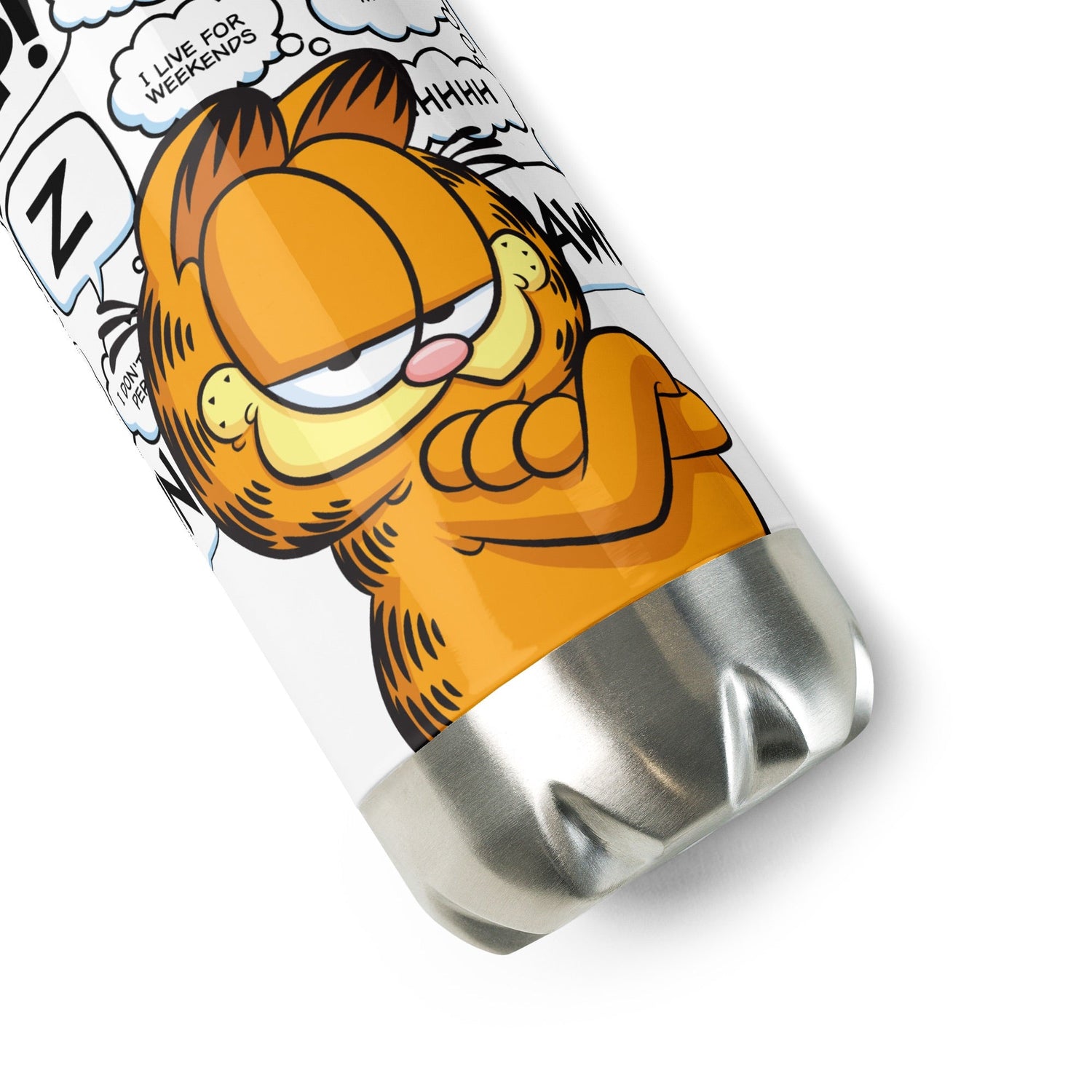 Garfield Stainless Steel Water Bottle - Paramount Shop