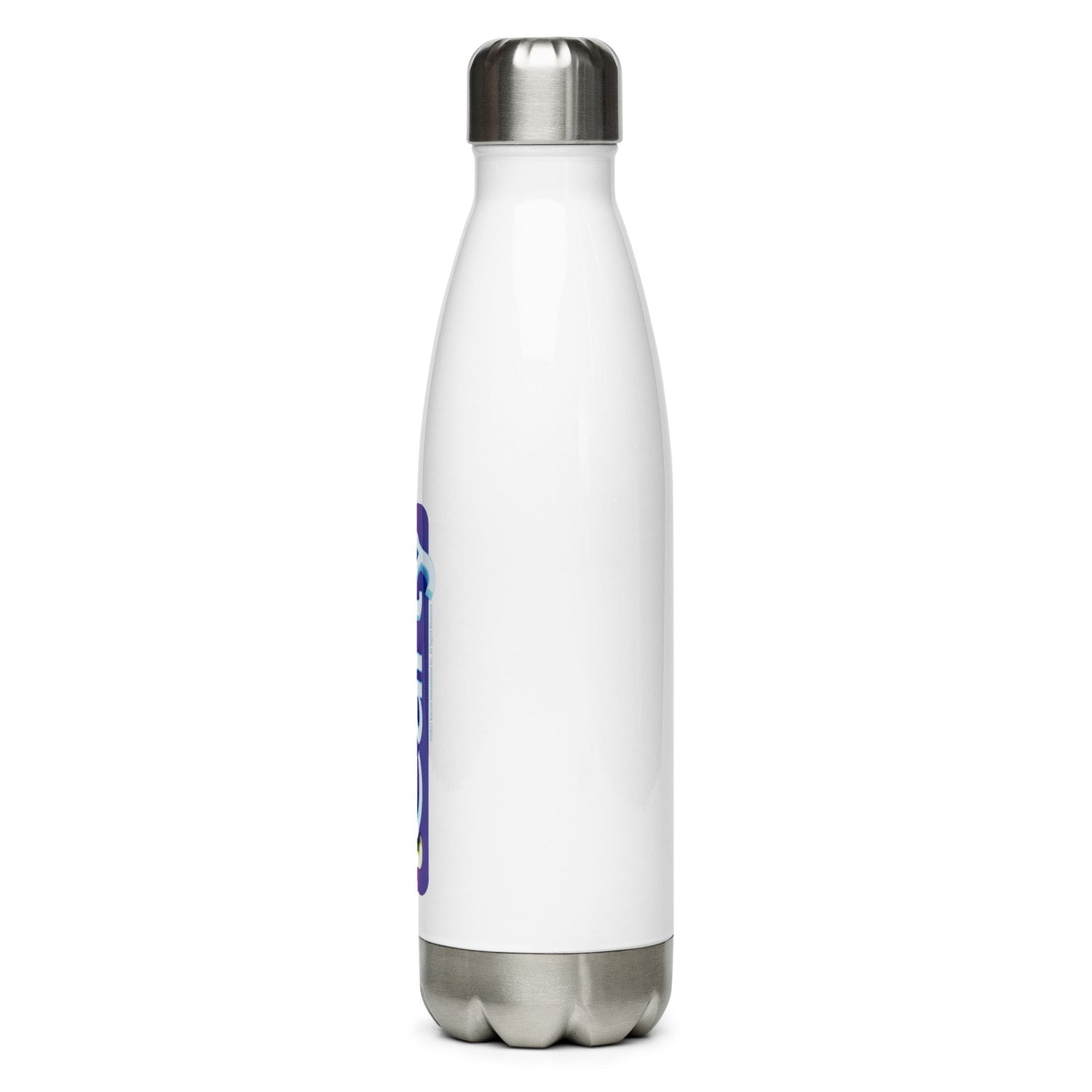 iCarly Logo Stainless Steel Water Bottle - Paramount Shop