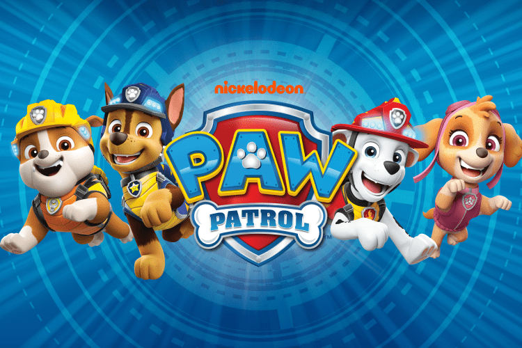 Paw patrol shop sweatshirts