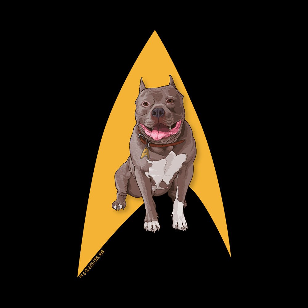 Star Trek: Picard No. 1 Delta Women's Relaxed Scoop Neck T - Shirt - Paramount Shop