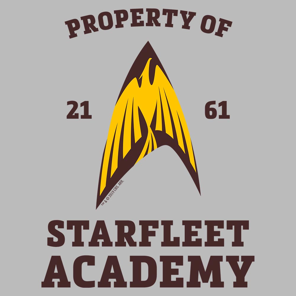 Star Trek Starfleet Academy Flying Phoenix Delta Fleece Hooded Sweatshirt - Paramount Shop