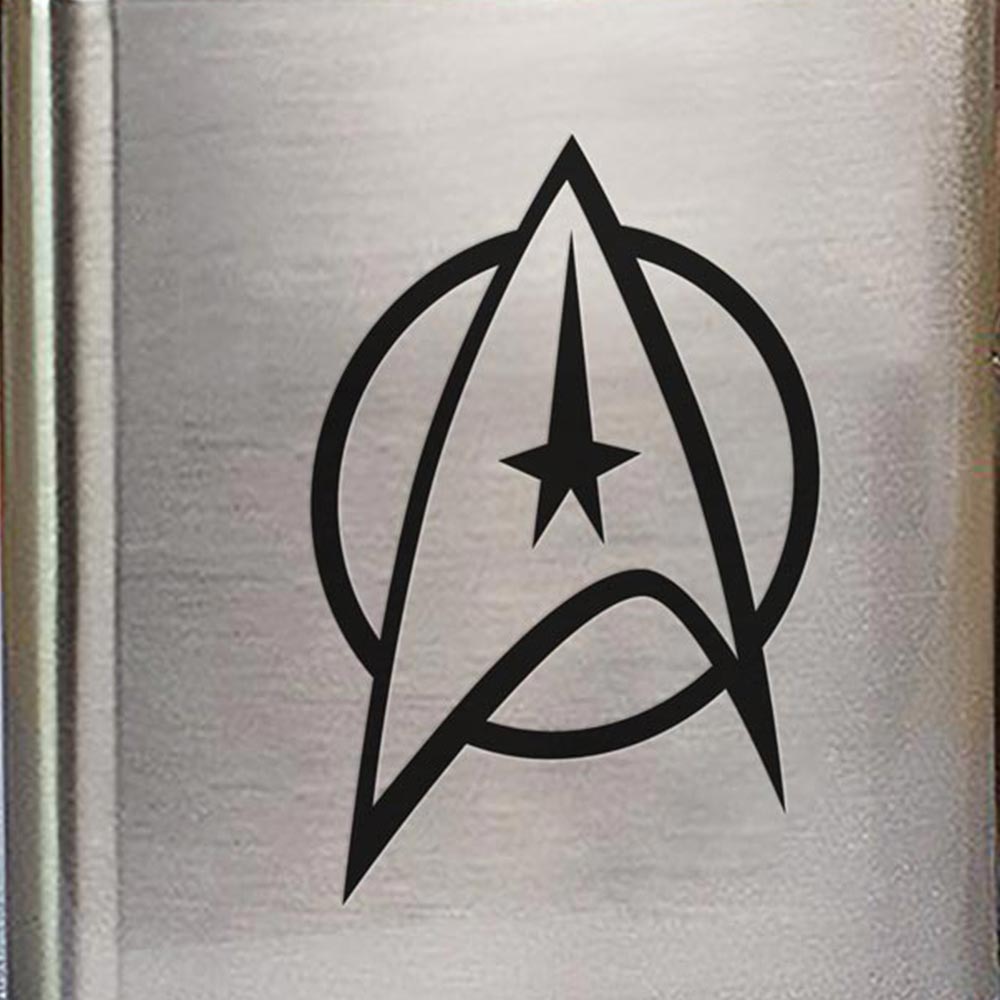 Star Trek: The Original Series Delta Stainless Steel Flask - Paramount Shop