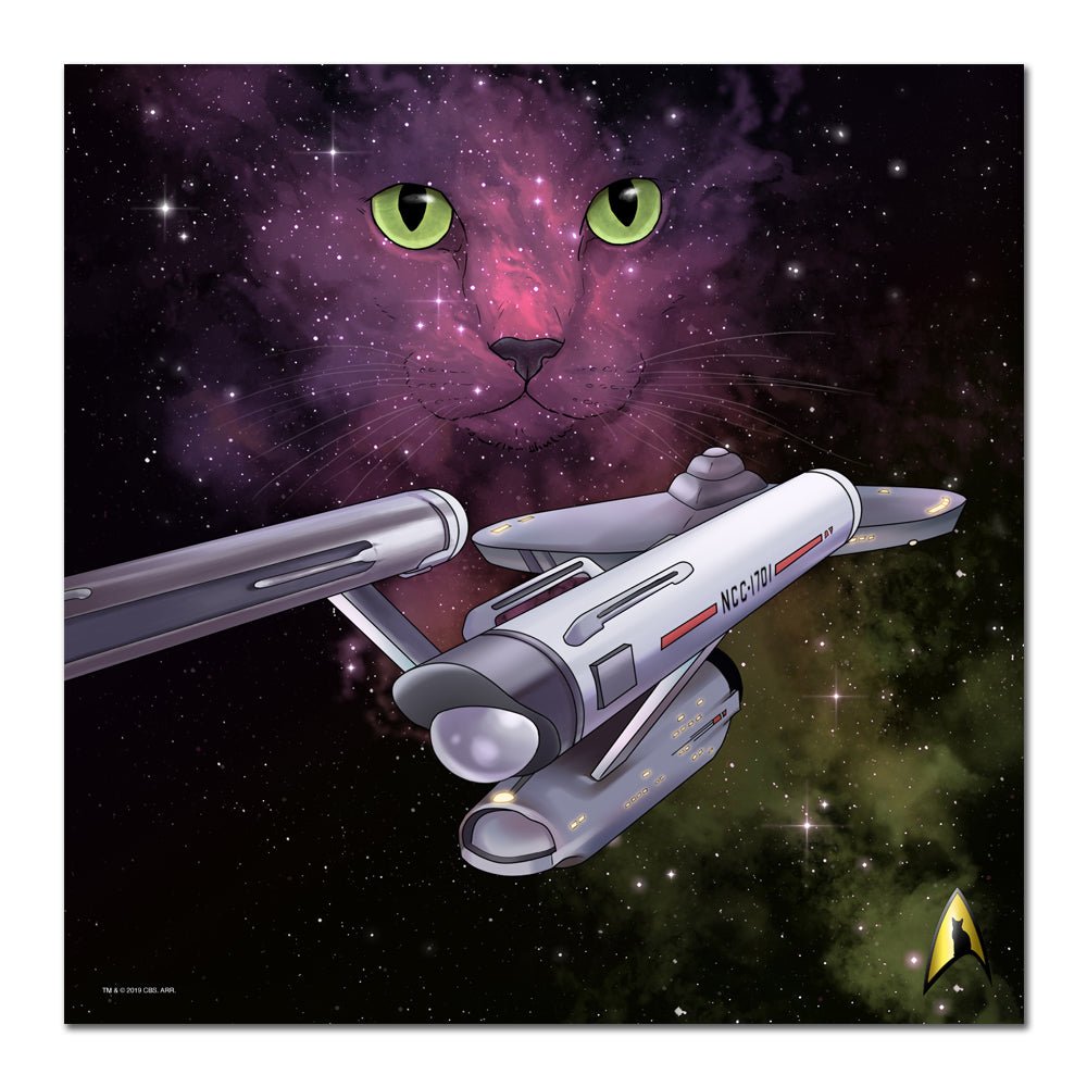 Star Trek: The Original Series Space Cat Premium Satin Poster - Paramount Shop