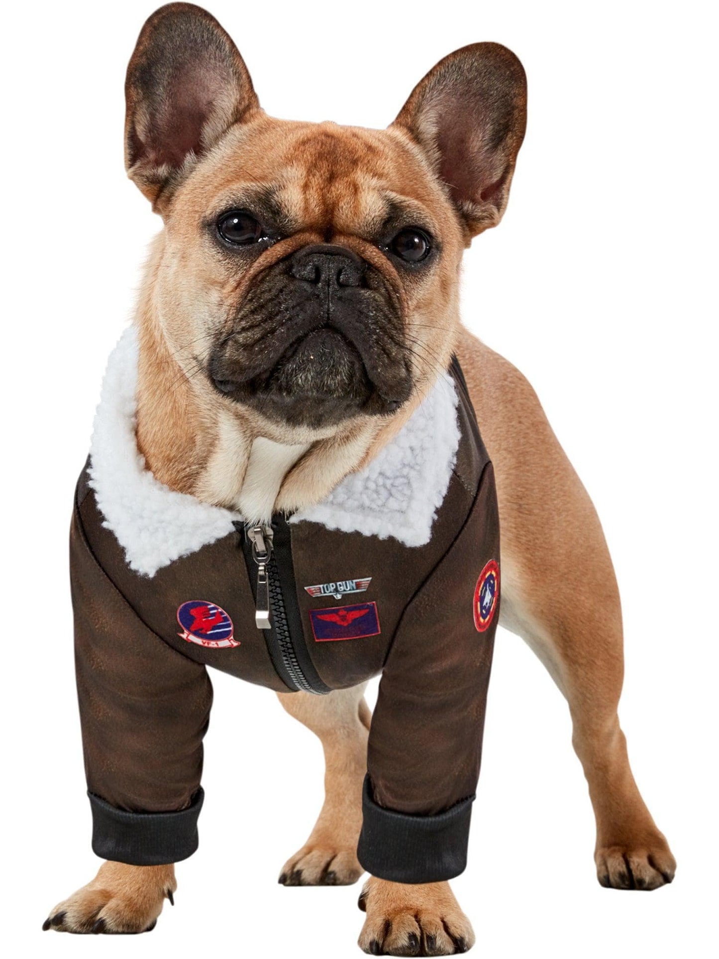 Top Gun Pet Costume - Paramount Shop