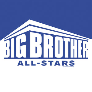 Big Brother All Stars Color Block Logo 16" x 16"  Throw Pillow