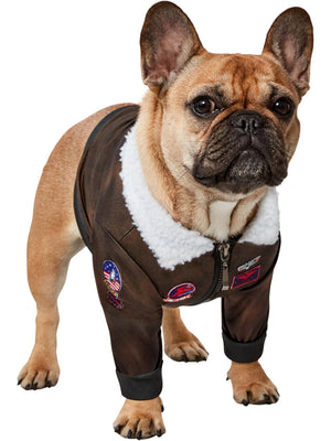 Top Gun Disfraz de mascota
