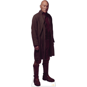 Star Trek: Picard Picard en carton découpé