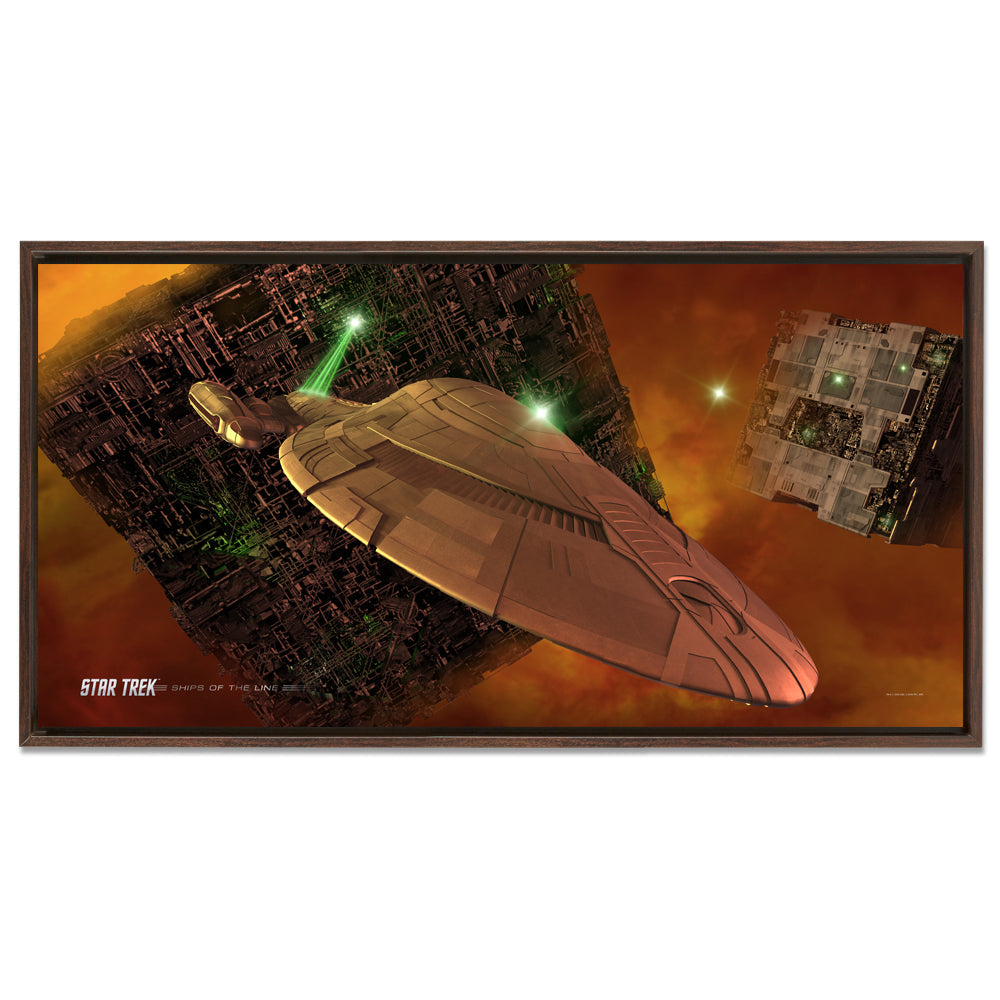 Star Trek: Voyager Ships of the Line Armored Voyager Marco Flotante Lienzo Envuelto