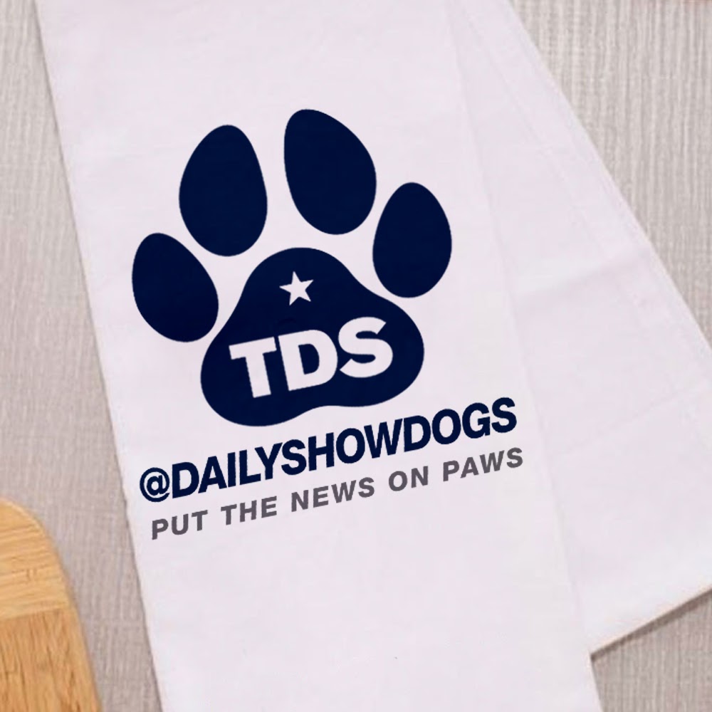 The Daily Show with Trevor Noah Daily Show Dogs Put the News on Paws Hand Towel