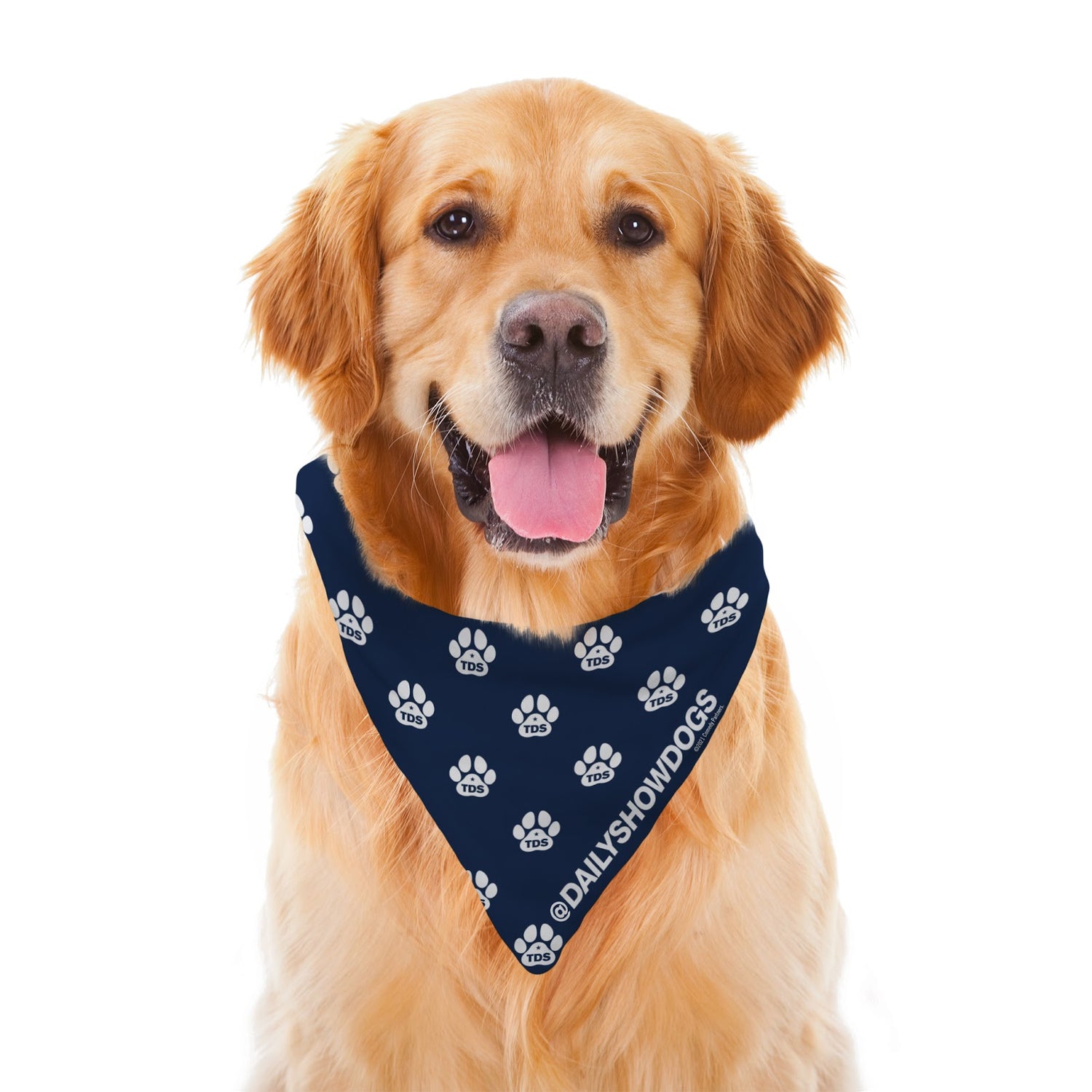 The Daily Show with Trevor Noah: Daily Show Dogs Paw Pattern Pet Bandana