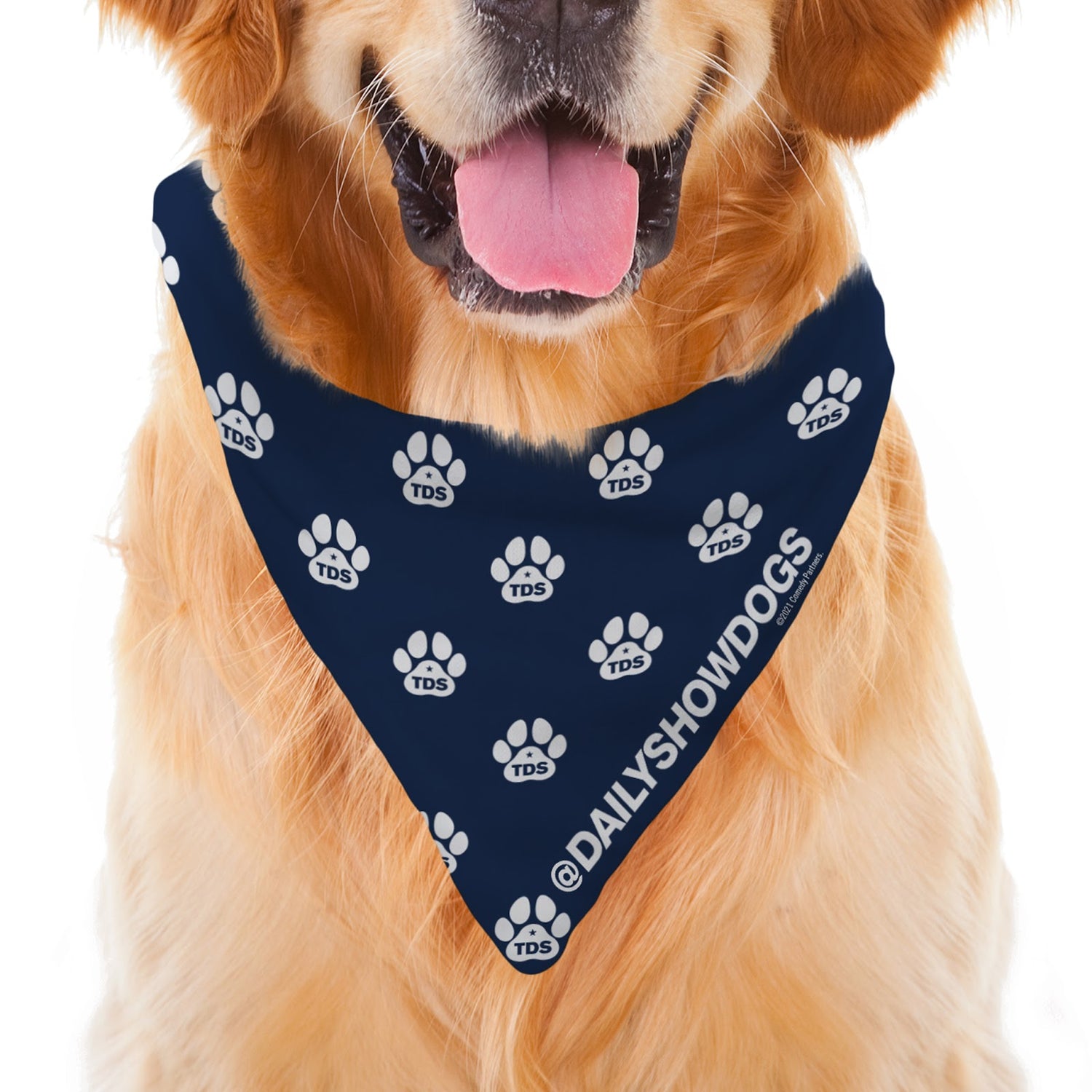 The Daily Show with Trevor Noah: Daily Show Dogs Paw Pattern Pet Bandana