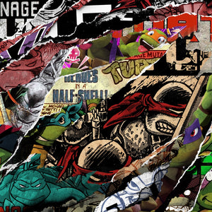 Teenage Mutant Ninja Turtles Heroes Premium Matte Paper Poster
